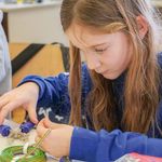 Kurse 2019/2020 - Stadt Ettlingen