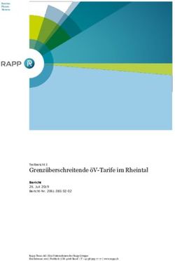 Grenz&uuml;berschreitende &ouml;V-Tarife im Rheintal