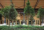 Eiserne Lady mit Holzkern - Forum-HolzBau