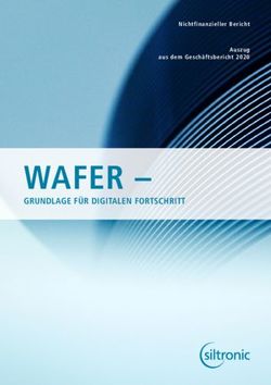 WAFER - GRUNDLAGE F&Uuml;R DIGITALEN FORTSCHRITT - Nichtfinanzieller Bericht Auszug aus dem Gesch&auml;ftsbericht 2020