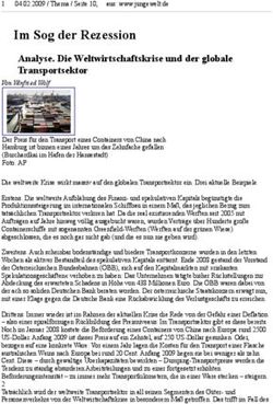 Im Sog der Rezession Analyse. Die Weltwirtschaftskrise und der globale Transportsektor