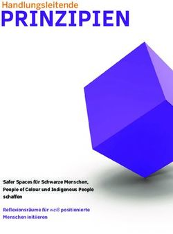 PRINZIPIEN - Safer Spaces f&uuml;r Schwarze Menschen, People of Colour und Indigenous People schaffen Reflexionsr&auml;ume f&uuml;r wei&szlig; positionierte Menschen ...
