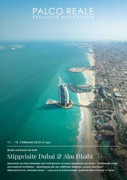 Stippvisite Dubai & Abu Dhabi - PALCO REALE