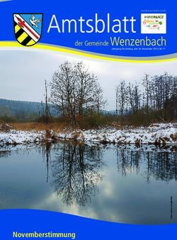 Amtsblatt der Gemeinde Wenzenbach