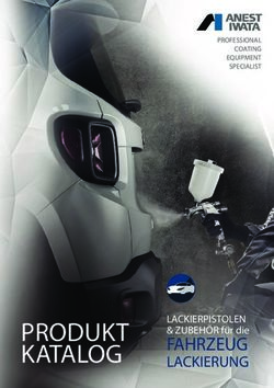 PRODUKT KATALOG FAHRZEUG - LACKIERUNG - Anest Iwata
