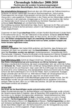 Chronologie Schlecker 2008-2010 - Fluchtrouten der sozialen Verantwortungslosigkeit