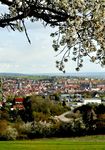 Jesus spricht: Friede sei mit euch! Wie mich mein Vater gesandt hat, so sende ich euch. (Johannes 20,21) - April / Mai 2018 - Kirchenkreis ...