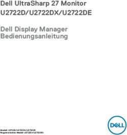 DELL ULTRASHARP 27 MONITOR - U2722D/U2722DX/U2722DE DELL DISPLAY MANAGER BEDIENUNGSANLEITUNG