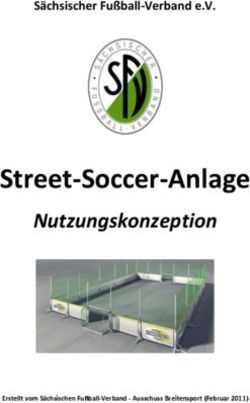Street-Soccer-Anlage Nutzungskonzeption - S&auml;chsischer Fu&szlig;ball-Verband e.V.