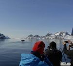 Expedition Diskobucht - Expeditions-Seereise "ins Herz Grönlands" mit der FRIDTJOF NANSEN - 4 Termine im Sommer 2020 - Hanseat Reisen