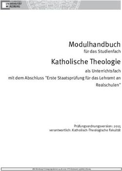 Modulhandbuch f&uuml;r das Studienfach