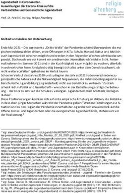 Jugendarbeit in Coronazeiten. Auswirkungen der Corona-Krise auf die Verbandliche und Gemeindliche Jugendarbeit