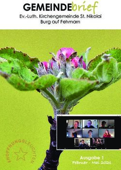 GEMEINDE Ev.-Luth. Kirchengemeinde St. Nikolai Burg auf Fehmarn - kirche-fehmarn