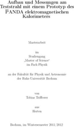 Aufbau und Messungen am Teststrahl mit einem Prototyp des PANDA elektromagnetischen Kalorimeters