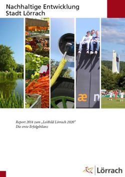 Nachhaltige Entwicklung Stadt L&ouml;rrach - Report 2014 zum "Leitbild L&ouml;rrach 2020" Die erste Erfolgsbilanz - St&auml;dtetag Baden ...