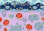 Radiosynoviorthese Patienteninformation - Curium Pharma