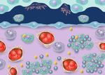 Radiosynoviorthese Patienteninformation - Curium Pharma