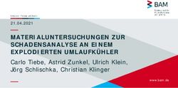 MATERIALUNTERSUCHUNGEN ZUR SCHADENSANALYSE AN EINEM EXPLODIERTEN UMLAUFK&Uuml;HLER - Carlo Tiebe, Astrid Zunkel, Ulrich Klein, J&ouml;rg Schlischka ...