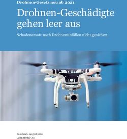 Drohnen-Gesch&auml;digte gehen leer aus - Drohnen-Gesetz neu ab 2021 Schadenersatz nach Drohnenunf&auml;llen nicht gesichert - Drohnenversicherung ...
