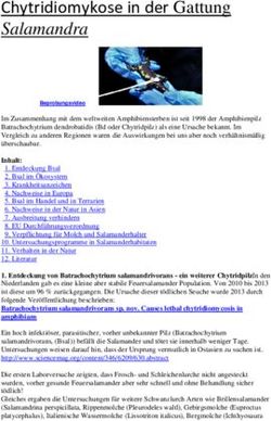 Chytridiomykose in der Gattung - Salamandra