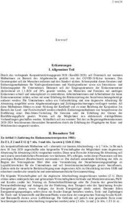 Erläuterungen I. Allgemeiner Teil - RIS