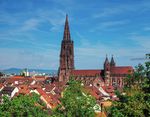 Freiburg, Basel und Colmar - Exklusive Zug- und Busreise ins Dreiländereck - DNV-Tours