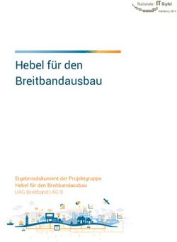 Hebel f&uuml;r den Breitbandausbau - Ergebnisdokument der Projektgruppe Hebel f&uuml;r den Breitbandausbau UAG Breitband | AG 8 - Plattform Digitale Netze ...