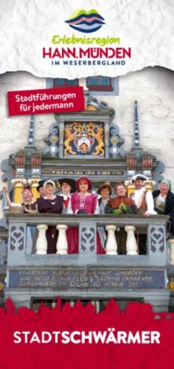 Stadtf&uuml;hrungen f&uuml;r jedermann - M&uuml;nden