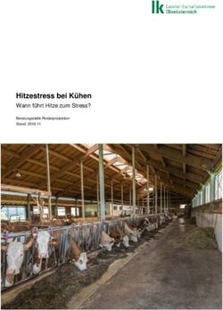 Hitzestress bei K&uuml;hen - Wann f&uuml;hrt Hitze zum Stress?