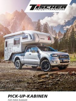 PICK-UP-KABINEN - FREIZEITFAHRZEUGE - Tischer