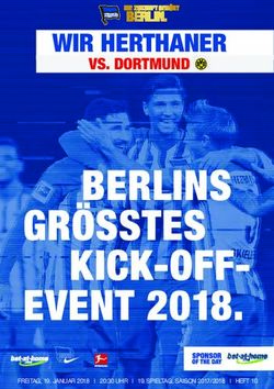 WIR HERTHANER VS. DORTMUND - Hertha BSC