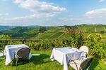 Piemont! Die Langhe - mehr als Wein, Trüffel & Käse - Wandern und Wein in Italien