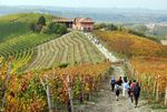 Piemont! Die Langhe - mehr als Wein, Trüffel & Käse - Wandern und Wein in Italien