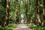 Gartenträume in Ostfriesland - Gartenreise vom 25. bis 31. Mai 2021 - Urlaub in Deutschland mit - Tagesspiegel