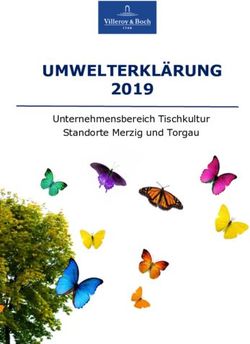 UMWELTERKLÄRUNG 2019 Unternehmensbereich Tischkultur Standorte Merzig und Torgau - Villeroy & Boch Group