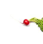 Scharf auf - VeggieWochen am Westlichen Bodensee 22. Februar 7. April 2023