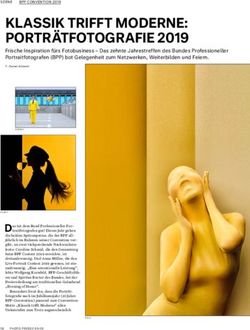 KLASSIK TRIFFT MODERNE: PORTR&Auml;TFOTOGRAFIE 2019 - Bund professioneller ...