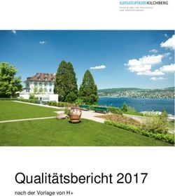 Qualitätsbericht 2017 - nach der Vorlage von H+ - H+ Die Spitäler der Schweiz