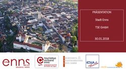 PR&Auml;SENTATION Stadt Enns TSE GmbH 30.01.2018