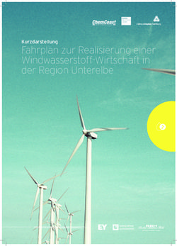 Fahrplan zur Realisierung einer Windwasserstoff-Wirtschaft in der Region Unterelbe - Kurzdarstellung