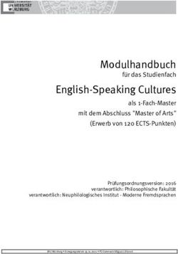 Modulhandbuch f&uuml;r das Studienfach