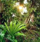 Guatemala - PLAN-Gruppenreise nach Guatemala 2020