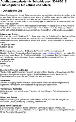 Ausflugsangebote für Schulklassen 2014/2015 Planungshilfe für Lehrer und Eltern - Stadt ...