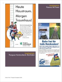 Hauptsponsor, Flumroc AG Flums - hauptsponsor, Thurgauer Kantonalbank Weinfelden