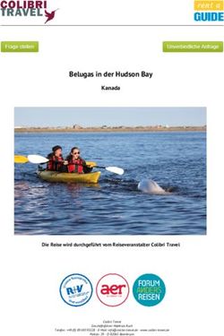 Belugas in der Hudson Bay - Kanada - Rent A Guide