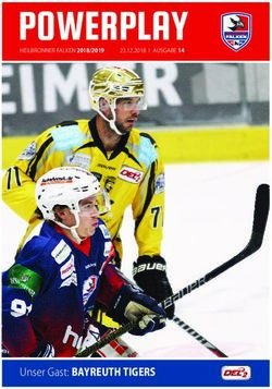 POWERPLAY - Heilbronner Falken