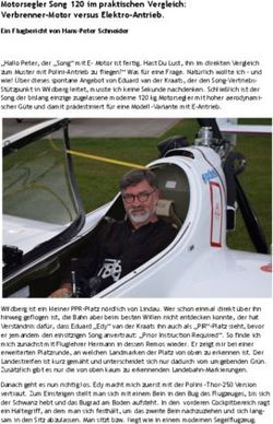 Motorsegler Song 120 im praktischen Vergleich: Verbrenner-Motor versus Elektro-Antrieb.