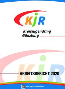 ARBEITSBERICHT 2020 www.jugend-guenzburg.de - beim Kreisjugendring G&uuml;nzburg