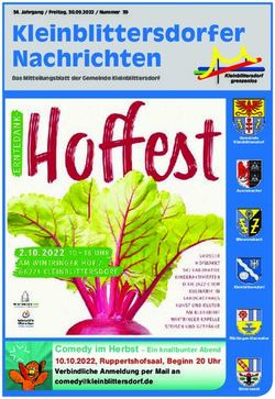 Kleinblittersdorfer Nachrichten - MTYPE media