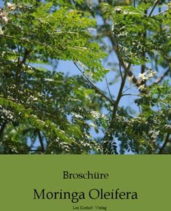 MORINGA OLEIFERA BROSCH&Auml;RE - LEO KOEHOF - VERLAG